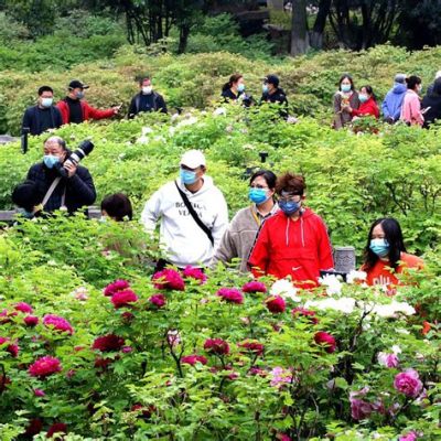 ¡Sumérgete en la Historia y la Naturaleza en el Templo del Bosque de Peony!